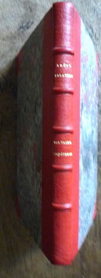 Voltaire l'impétueux