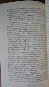Madame et sa bonne. Sophie Villalonga