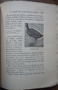 La chasse de la sauvagine en bateaux