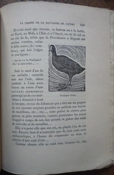 La chasse de la sauvagine en bateaux. DE LA FUYE Maurice