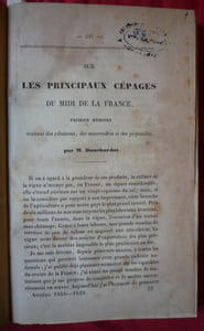 culture de la vigne
maladie de la vigne
les cépages du midi