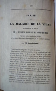 culture de la vigne
maladie de la vigne
les cépages du midi