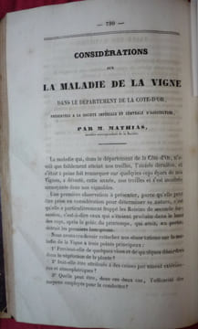 culture de la vigne
maladie de la vigne
les cépages du midi. Bouchardat
Mathias