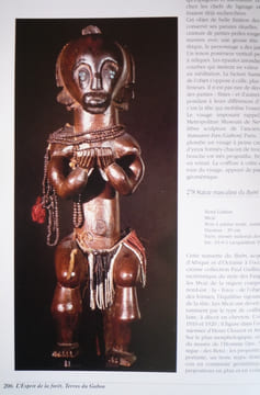 L'ESPRIT DE LA FORET
TERRES DU GABON
. Perrois Louis
(Jérôme T. Kwenzi Mikala, Daou V.Joiris, Jean Emile Mbot, André Mary, Annie Dupuis, Pierre ...