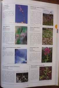Atlas de la flore sauvage du département d'Eure et Loir