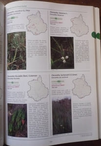 Atlas de la flore sauvage du département d'Eure et Loir