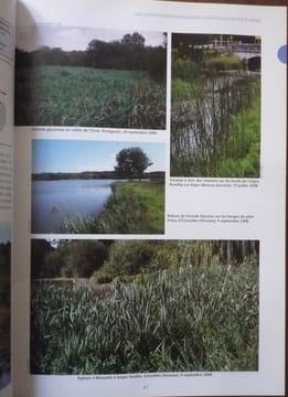 Atlas de la flore sauvage du département d'Eure et Loir. Rémi Dupré, Pierre Boudier, Pierre Delahaye, Michel Joly, Jordane cordier, Jacques Moret