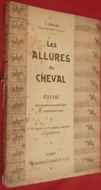 Les allures du cheval