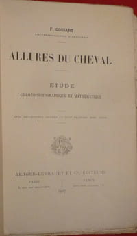 Les allures du cheval
