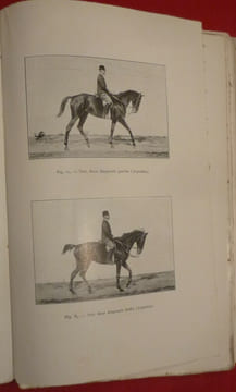 Les allures du cheval. F. GOSSART