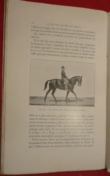 Les allures du cheval. F. GOSSART