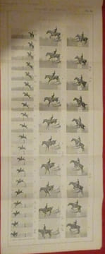 Les allures du cheval. F. GOSSART