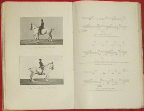 Les allures du cheval. F. GOSSART