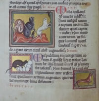 BESTIARIUM
Bestiaire Ashmole