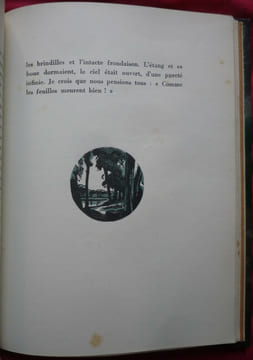 Paysages et pays d'Anjou. René BAZIN