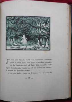 Paysages et pays d'Anjou. René BAZIN