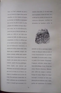 Le nymphéa et le confetti