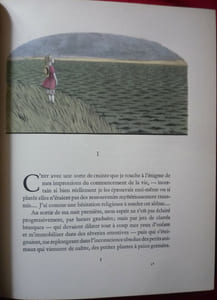 Le roman d'un enfant