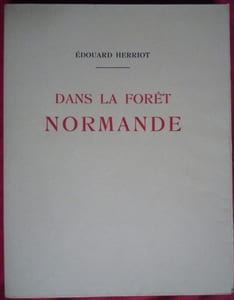 DANS LA FORÊT NORMANDE

