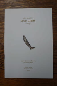 Sete anos. Collage. Seguido de memoria descritiva por Marcus Salgado.