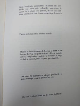 HIEMS. . PASCAL  QUIGNARD. 