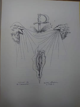 Miroir de la tauromachie précédé de Tauromachies. Dessins de André Masson. . MICHEL LEIRIS.