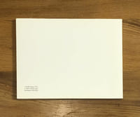 Stratégies picturales.