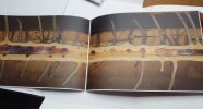 Des veines, au ciel, ouvertes. . GIUSEPPE PENONE. 