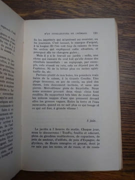 Journal d'un intellectuel en chômage. . DENIS DE ROUGEMONT.