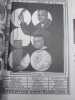 Bild, order. . WILLEM OOREBEEK, JOELLE TUERLINCKX. 