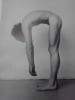 The Male Nude. A Survey in Photography. June 13 - July 28, 1978. . RICE Shelley.  