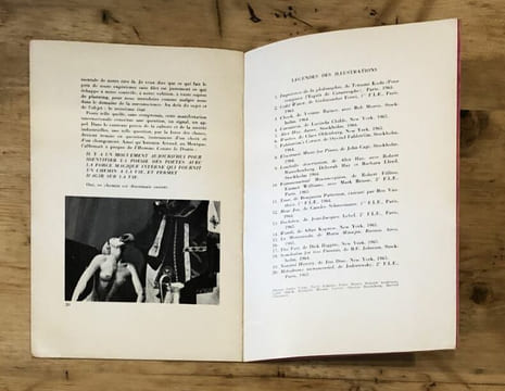 Lettre ouverte au regardeur et à la truite. . Jean-Jacques LEBEL.