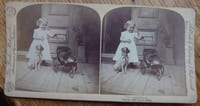 Stereo, Underwood & Underwood Publishers, Geo. Barker. 1891. The Jealous Dogguie.