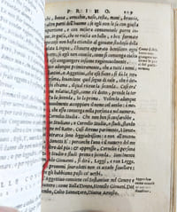 I Quattro libri delle osservationi di M. Lodovico Dolce