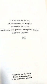 Les Drapeaux habillent mal ou les Ismes et les Hommes, roman infini