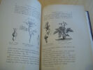 . Pioger

Le monde des plantes

Paris

René Haton libraire - éditeur

sd (1895)

382p illustrées

format 25,5x17cm

bon état