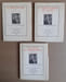 Les Livrets du Bibliophile. Collection compl&egrave;te : Le Bibliomane - La Philosophie du livre - Le Livre du Bibliophile - "Les D&eacute;sirs" ou Le Livre &eacute;gar&eacute; - ...