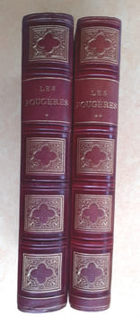 Les Fougères. Choix des Espèces les plus remarquables pour la décoration des serres, parcs, jardins et salons, précédé de leur Histoire botanique & ...