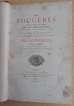 Les Fougères. Choix des Espèces les plus remarquables pour la décoration des serres, parcs, jardins et salons, précédé de leur Histoire botanique & ...