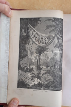 Les Fougères. Choix des Espèces les plus remarquables pour la décoration des serres, parcs, jardins et salons, précédé de leur Histoire botanique & ...