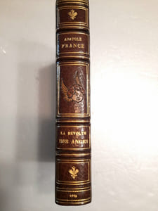 La révolte des anges