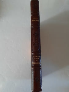 Chronique du règne de Charles IX