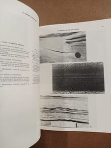 Le gisement des Malines (Gard) Zn, Pb