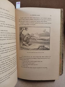 L'Odyssée d'un mousse