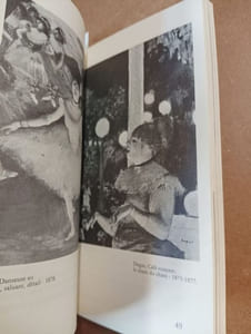 Portrait de l'artiste en saltimbanque 
