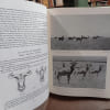 Le grand livre de la faune africaine et de la chasse (2 volumes). COLLECTIF 