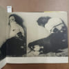 Plusieurs possibilit&eacute;s. Les photographies de John Willie. WILLIE, John 