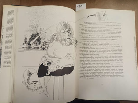 Tout Alice & La chasse au Snark. STEADMAN, Ralph (Illustrations) - CARROLL, Lewis (Texte)