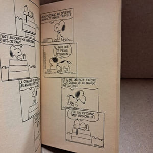 Snoopy a des problèmes