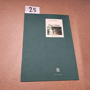 Cahier de notes sur Peau d'âne (Jacques Demy)